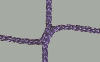 Tornetz Jugendtor 5,00 x 2,00 m, Farbe: lila, Auslage: 80/200 cm