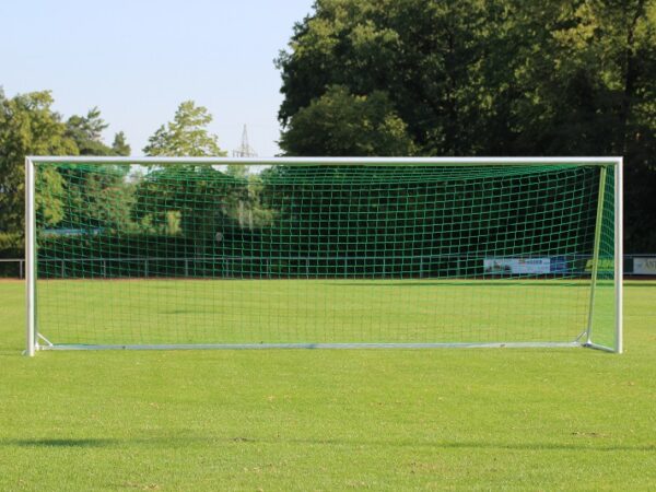 Vollverschweißtes Profi-Trainingstor easytec