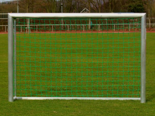Netz für Mini-Trainingstor_30956
