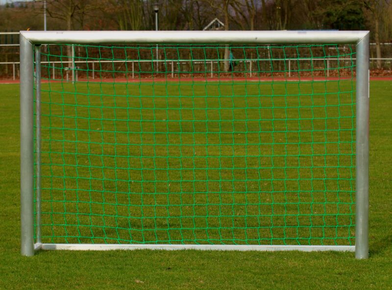 Netz für Mini-Trainingstor_30956
