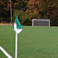 30107-3 Eckfahnentuch in grün-weiß