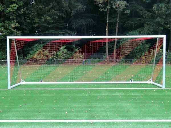 Kippgesichertes Trainingstor GUARDIAN easytec