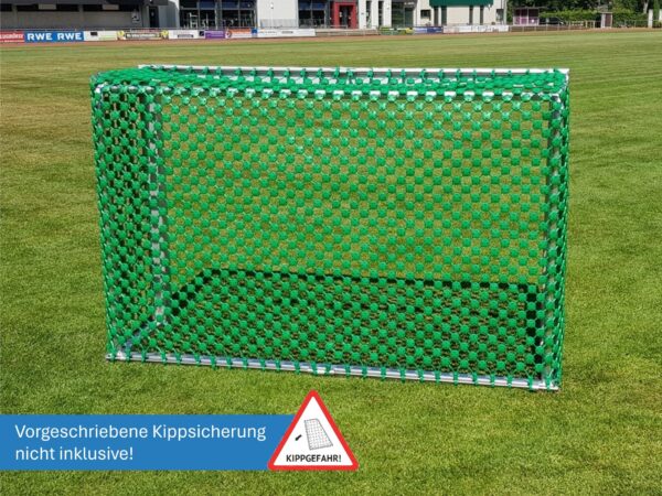 Minitor mit Herkulesnetz, vandalismussicher