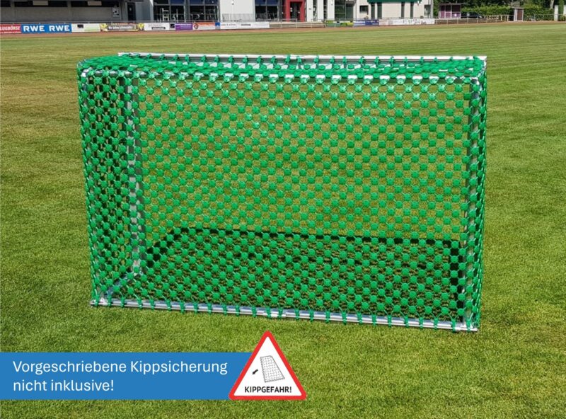 Minitor mit Herkulesnetz, vandalismussicher Minitor mit Herkulesnetz, vandalismussicher